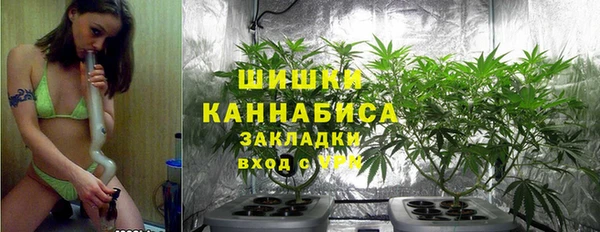 ПСИЛОЦИБИНОВЫЕ ГРИБЫ Абинск