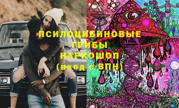прущая мука Пересвет
