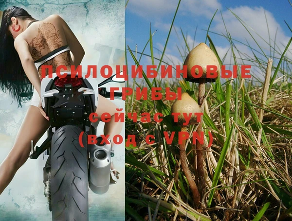 ALPHA PVP Абаза